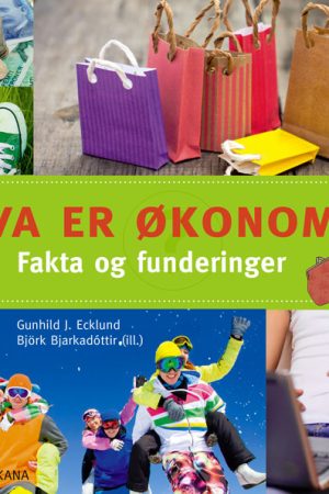 Hva er økonomi? Fakta og funderinger