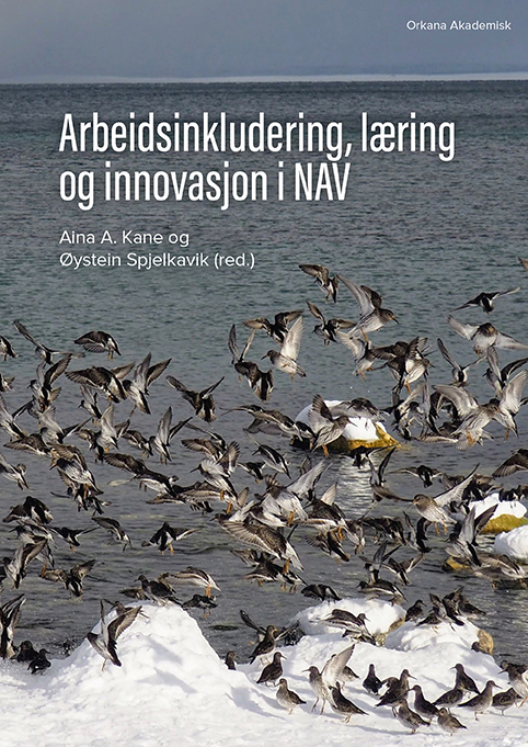 Arbeidsinkludering læring og innovasjon i NAV_cover_170x240