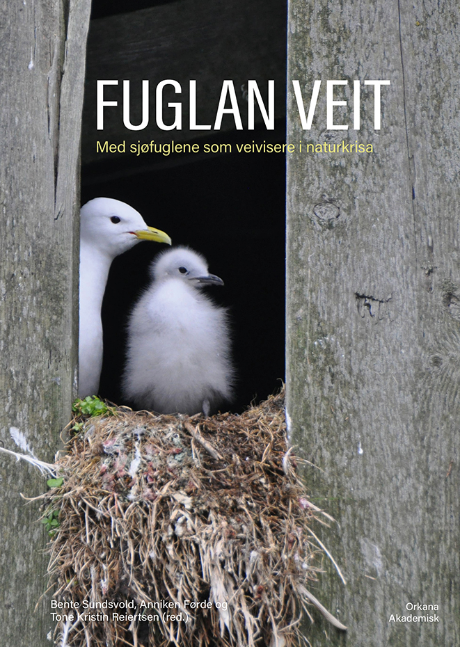 Fuglan veit_omslag